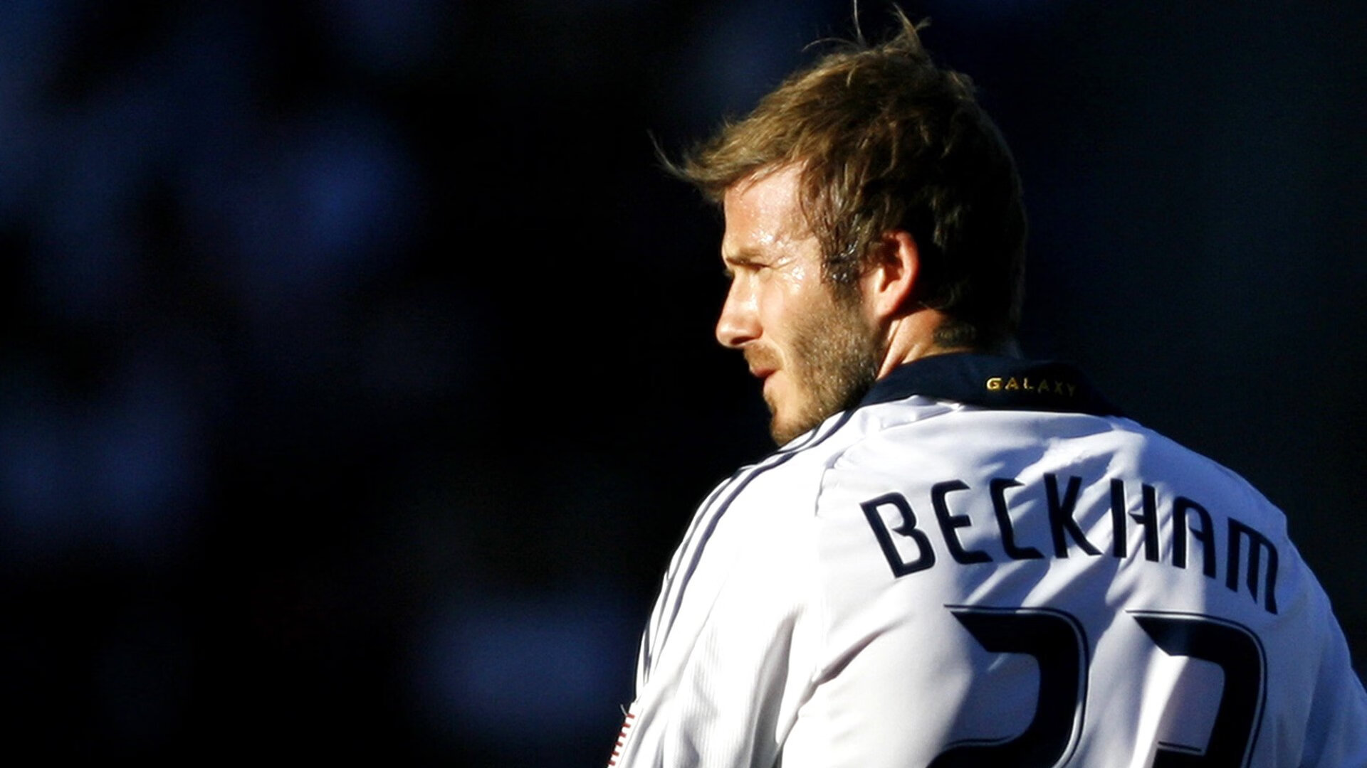 夺冠首场状态出色,TL观众沸腾!,莎拉波娃重返赛场全场沸腾不已